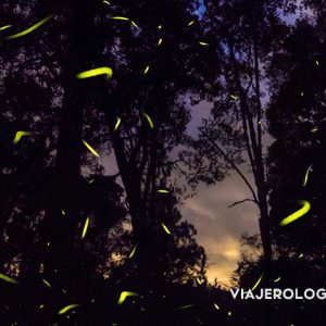 FOTOS DE AMANECERES Y ATARDECERES - NANACAMILPA, TLAXCALA. MÉXICO - SANTUARIO DE LAS LUCIÉRNAGAS - VIAJES Y FOTOGRAFÍA