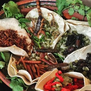 Tacos de insectos en méxico - comida exótica - comidamexicana - taco de alacran - taco de gusanos