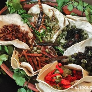 Tacos de insectos en méxico - Comida exótica - gastronomía mexicana