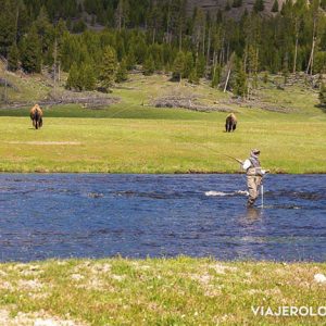 Pescador de río - pesca de mosca en parque nacional de yellowstone en estados unidos