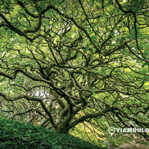 Galeria-Fotos-de-viaje-fotografia-Viajerologos-10