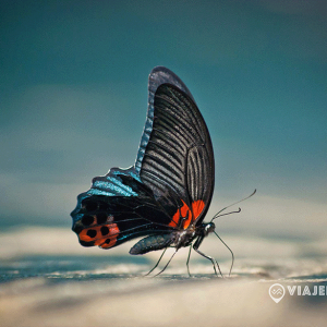 Galeria-Fotos-de-viaje-fotografia-Viajerologos-15