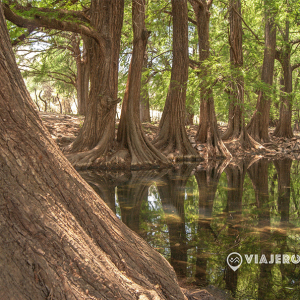 Galeria-Fotos-de-viaje-fotografia-Viajerologos-25