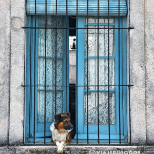 Galeria-Fotos-de-viaje-fotografia-Viajerologos-35